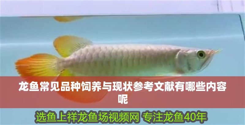 龍魚常見品種飼養與現狀參考文獻有哪些內容呢