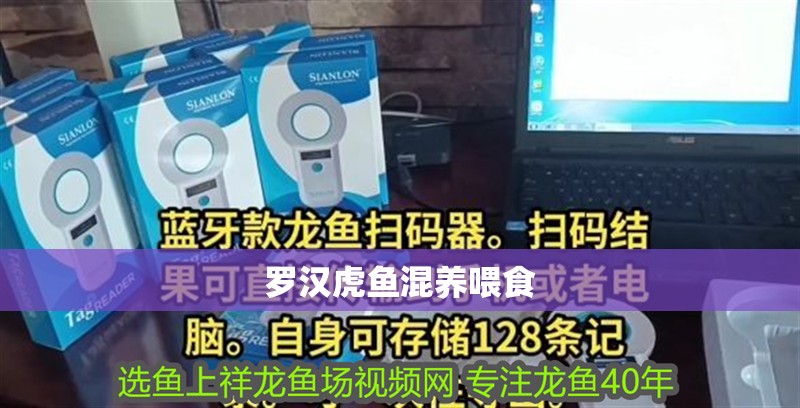 玻璃做魚缸怎么粘才牢固:如何自制玻璃魚缸 羅漢虎魚混養喂食 虎魚百科 羅漢虎魚混養喂食 羅漢虎魚混養喂食 虎魚百科