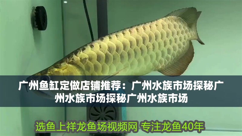 廣州魚缸定做店鋪推薦：廣州水族市場探秘廣州水族市場探秘廣州水族市場