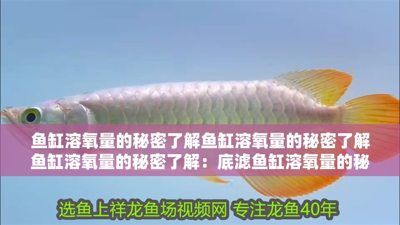 魚缸溶氧量的秘密了解魚缸溶氧量的秘密了解魚缸溶氧量的秘密了解：底濾魚缸溶氧量的秘密了解魚缸溶氧量的秘密了解魚缸溶氧量的秘密