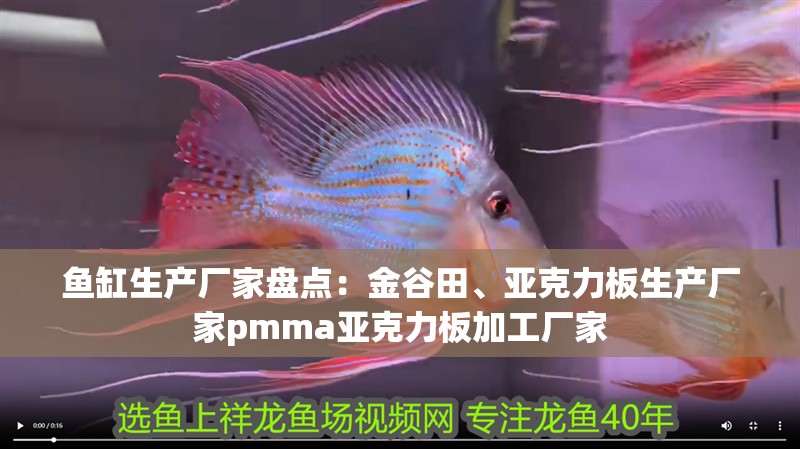 魚缸用增氧泵價格是多少:魚缸增氧機-xtrac增氧機-xtrac增氧機 魚缸生產廠家盤點:金谷田、亞克力板生產廠家pmma亞克力板加工廠家 魚缸百科 魚缸生產廠家盤點:金谷田、亞克力板生產廠家pmma亞克力板加工廠家 魚缸生產廠家盤點:金谷田、亞克力板生產廠家pmma亞克力板加工廠家 魚缸百科