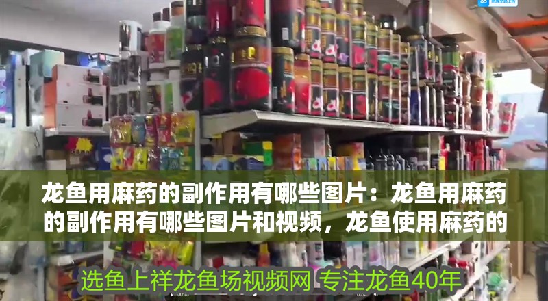 龍魚用麻藥的副作用有哪些圖片：龍魚用麻藥的副作用有哪些圖片和視頻，龍魚使用麻藥的副作用圖文與 龍魚用麻藥的副作用有哪些圖片：龍魚用麻藥的副作用有哪些圖片和視頻，龍魚使用麻藥的副作用圖文與 水族問答