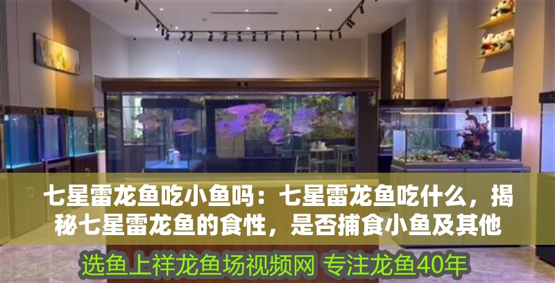 七星雷龍魚吃小魚嗎：七星雷龍魚吃什么，揭秘七星雷龍魚的食性，是否捕食小魚及其他