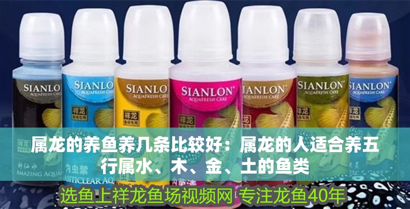 屬龍的養(yǎng)魚養(yǎng)幾條比較好：屬龍的人適合養(yǎng)五行屬水、木、金、土的魚類