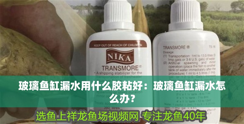玻璃魚缸漏水用什么膠粘好：玻璃魚缸漏水怎么辦？