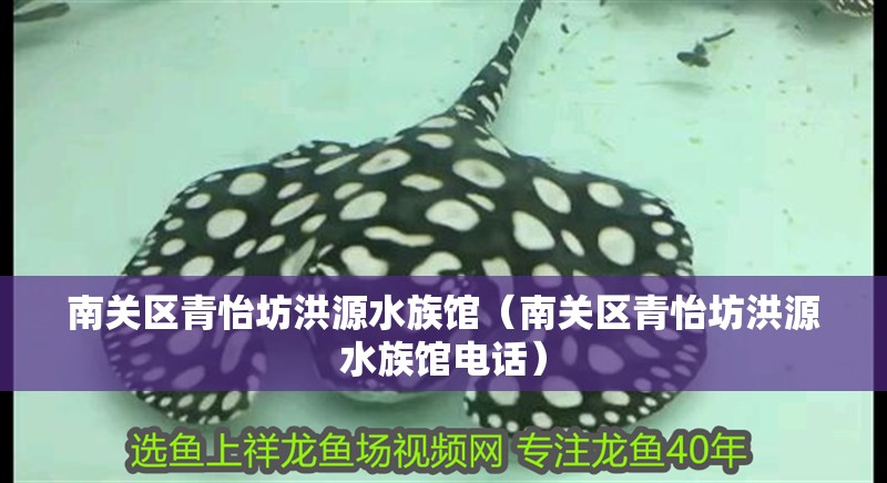 南關區青怡坊洪源水族館（南關區青怡坊洪源水族館電話）