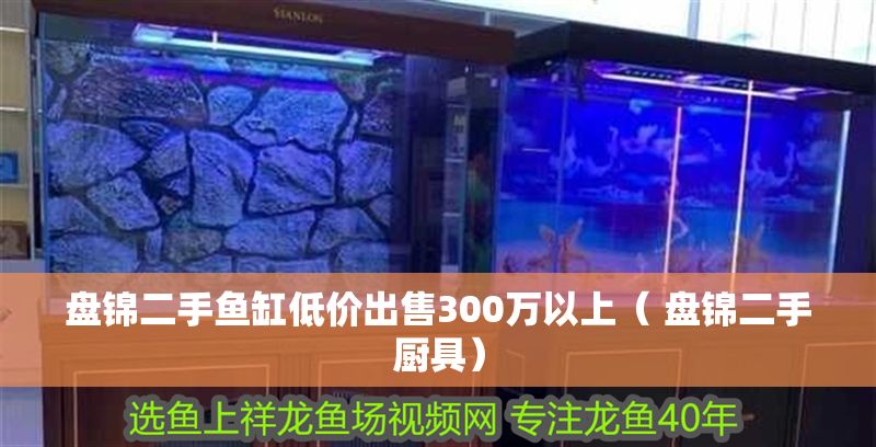 盤錦二手魚缸低價出售300萬以上( 盤錦二手廚具) 錦鯉魚百科 第1張 盤錦二手魚缸低價出售300萬以上( 盤錦二手廚具) 盤錦二手魚缸低價出售300萬以上( 盤錦二手廚具) 錦鯉魚百科 第1張