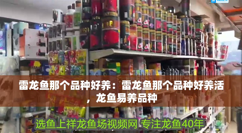 雷龍魚那個(gè)品種好養(yǎng)：雷龍魚那個(gè)品種好養(yǎng)活，龍魚易養(yǎng)品種