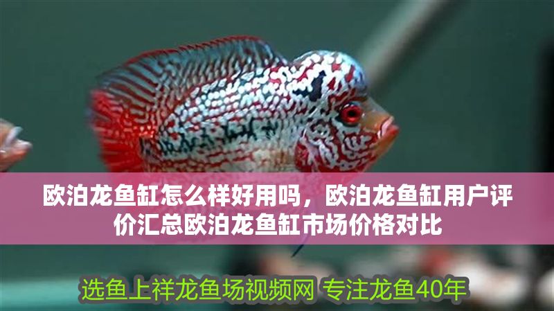 歐泊龍魚缸怎么樣好用嗎，歐泊龍魚缸用戶評價匯總歐泊龍魚缸市場價格對比