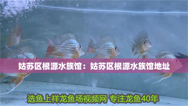 姑蘇區(qū)根源水族館：姑蘇區(qū)根源水族館地址