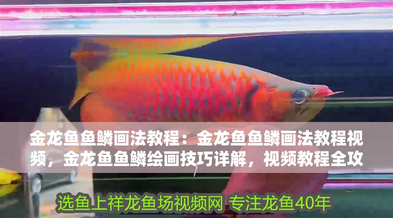金龍魚魚鱗畫法教程：金龍魚魚鱗畫法教程視頻，金龍魚魚鱗繪畫技巧詳解，視頻教程全攻略