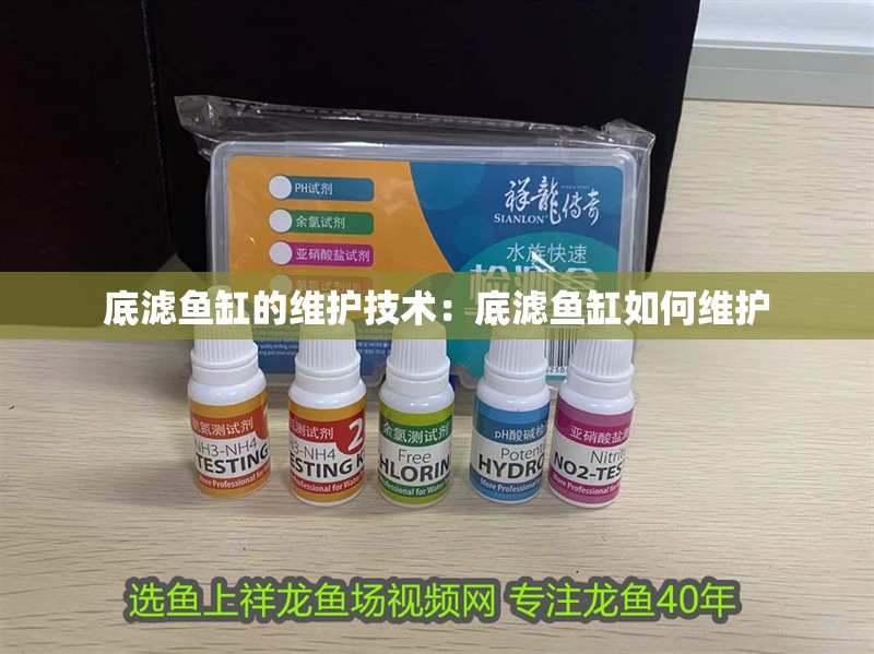底濾魚缸的維護技術：底濾魚缸如何維護