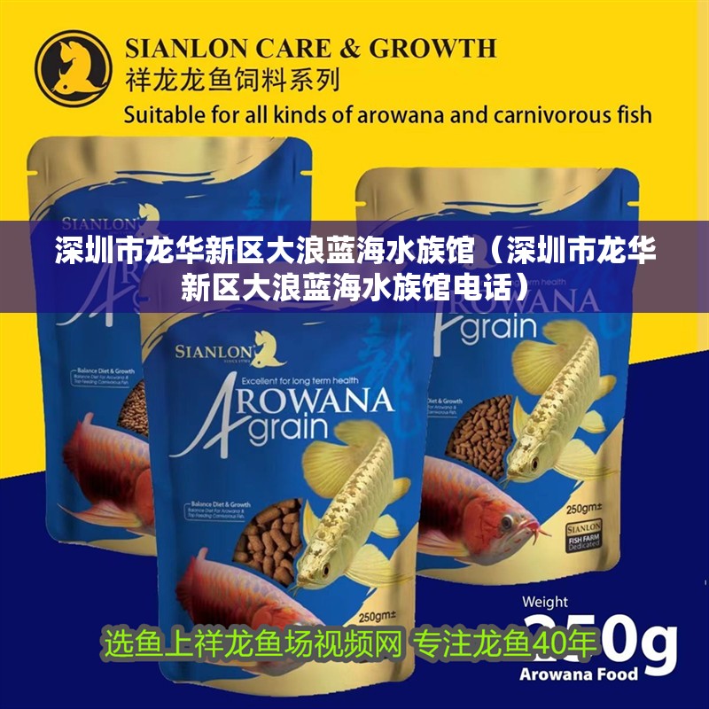 深圳市龍華新區大浪藍海水族館（深圳市龍華新區大浪藍海水族館電話）