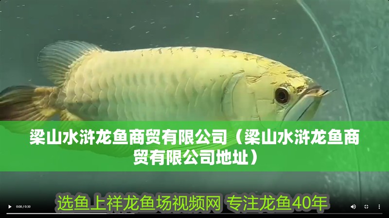 梁山水滸龍魚商貿(mào)有限公司（梁山水滸龍魚商貿(mào)有限公司地址）