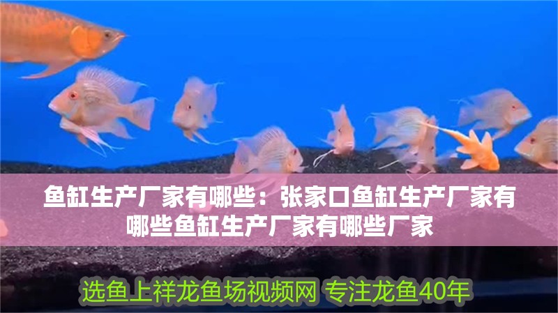 魚(yú)缸生產(chǎn)廠家有哪些：張家口魚(yú)缸生產(chǎn)廠家有哪些魚(yú)缸生產(chǎn)廠家有哪些廠家 魚(yú)缸生產(chǎn)廠家有哪些：張家口魚(yú)缸生產(chǎn)廠家有哪些魚(yú)缸生產(chǎn)廠家有哪些廠家 魚(yú)缸百科
