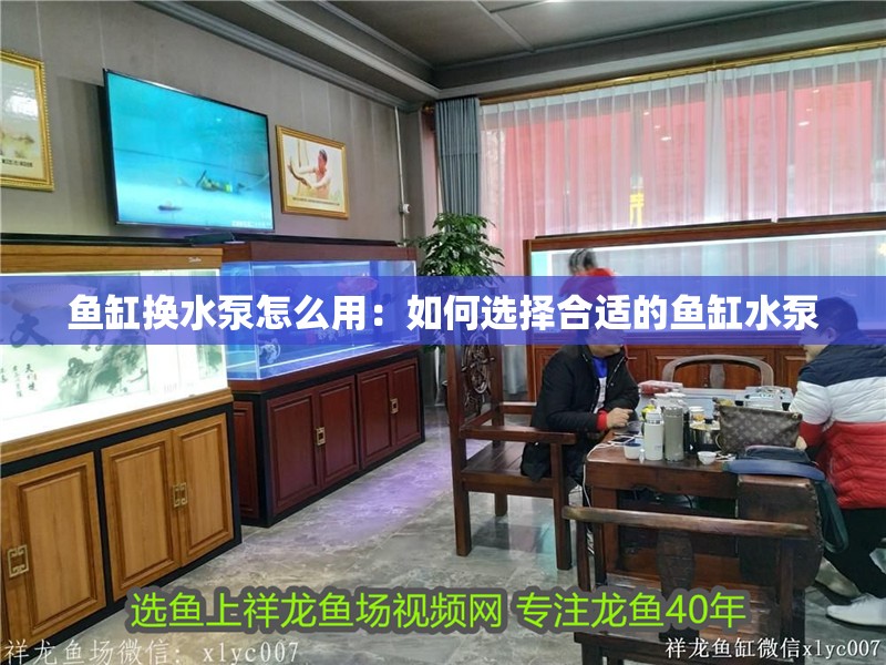 魚缸換水泵怎么用：如何選擇合適的魚缸水泵