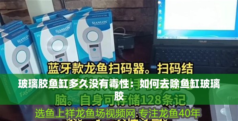 玻璃膠魚缸多久沒有毒性：如何去除魚缸玻璃膠