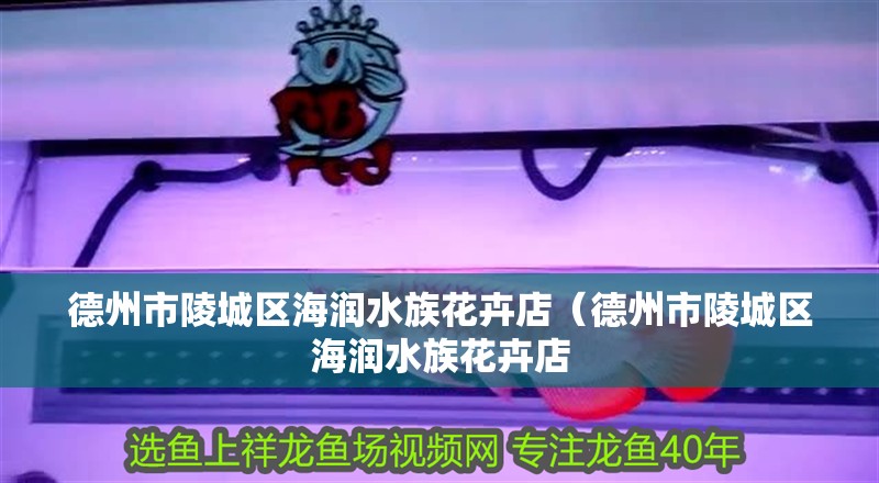 德州市陵城區海潤水族花卉店(德州市陵城區海潤水族花卉店 全國水族館企業名錄 第2張 德州市陵城區海潤水族花卉店(德州市陵城區海潤水族花卉店 德州市陵城區海潤水族花卉店(德州市陵城區海潤水族花卉店 全國水族館企業名錄 第2張