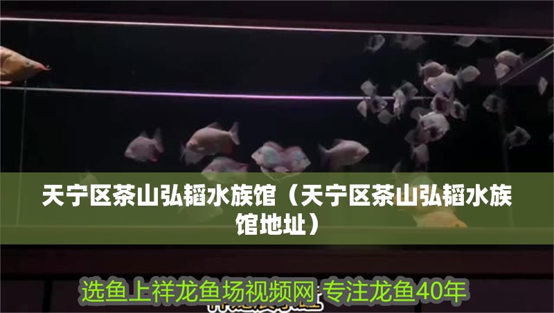 天寧區茶山弘韜水族館(天寧區茶山弘韜水族館地址) 全國水族館企業名錄 第2張 天寧區茶山弘韜水族館(天寧區茶山弘韜水族館地址) 天寧區茶山弘韜水族館(天寧區茶山弘韜水族館地址) 全國水族館企業名錄 第2張