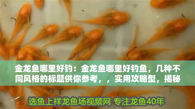 金龍魚哪里好釣：金龍魚哪里好釣魚，幾種不同風格的標題供你參考，，實用攻略型，揭秘金龍魚絕佳垂釣點，輕松收獲大物！，疑問引導型，金龍魚究竟何處最易上鉤？答案在此！，直白陳述型，鎖定金龍魚好釣之地，開啟