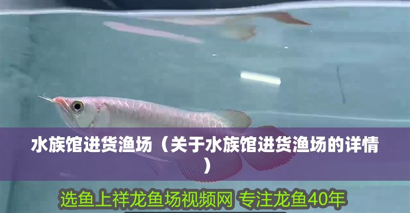 水族館進貨漁場（關于水族館進貨漁場的詳情）