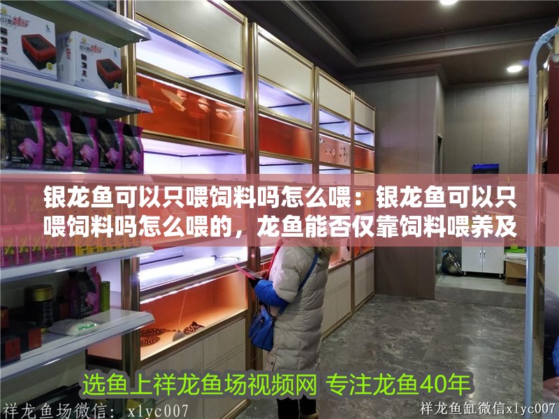 銀龍魚可以只喂飼料嗎怎么喂：銀龍魚可以只喂飼料嗎怎么喂的，龍魚能否僅靠飼料喂養及科學