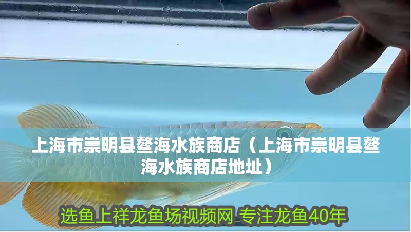 上海市崇明縣鰲海水族商店（上海市崇明縣鰲海水族商店地址）