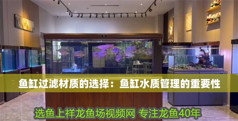 魚缸過濾材質的選擇：魚缸水質管理的重要性 魚缸過濾材質的選擇：魚缸水質管理的重要性 魚缸百科