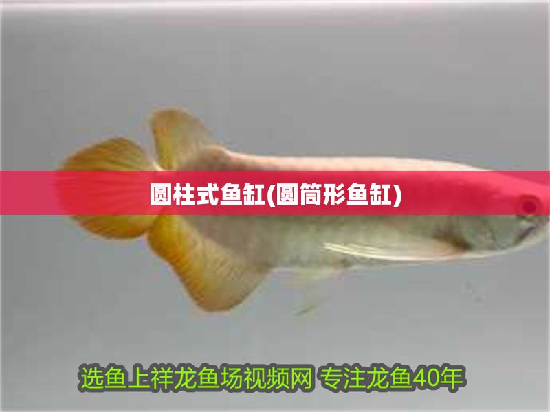圓柱式魚缸(圓筒形魚缸)