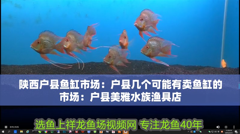 陜西戶縣魚缸市場(chǎng)：戶縣幾個(gè)可能有賣魚缸的市場(chǎng)：戶縣美雅水族漁具店