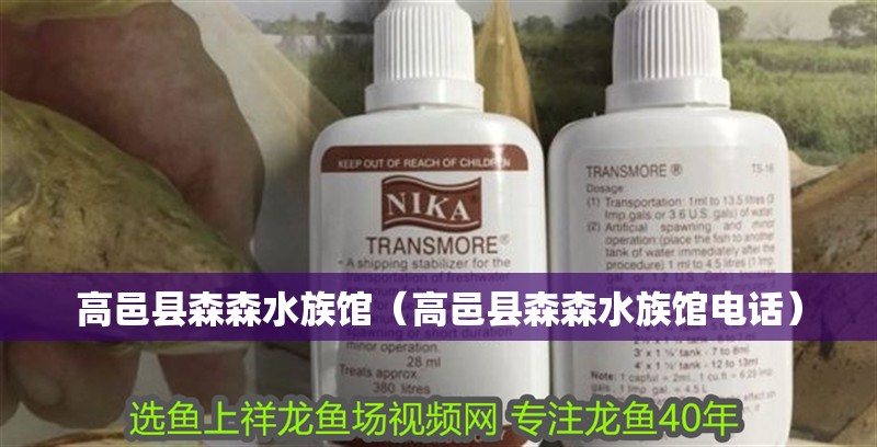 高邑縣森森水族館（高邑縣森森水族館電話）