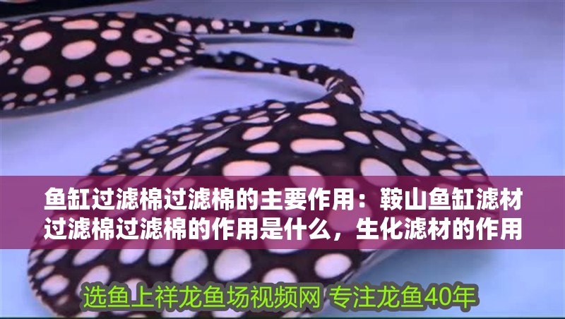 魚缸過濾棉過濾棉的主要作用：<strong><mark>鞍山</mark></strong>魚缸濾材過濾棉過濾棉的作用是什么，生化濾材的作用