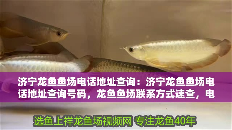 濟寧龍魚魚場電話地址查詢：濟寧龍魚魚場電話地址查詢號碼，龍魚魚場聯系方式速查，電話