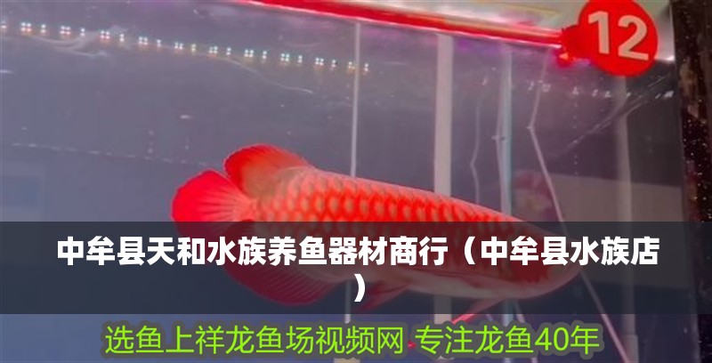 中牟縣天和水族養魚器材商行（中牟縣水族店）