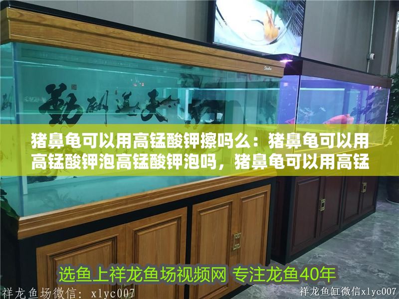 如何判斷魚缸該換水了，如何判斷魚缸是否需要換水