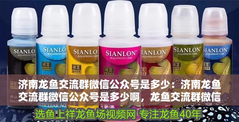 濟南龍魚交流群微信公眾號是多少：濟南龍魚交流群微信公眾號是多少啊，龍魚交流群微信公眾號