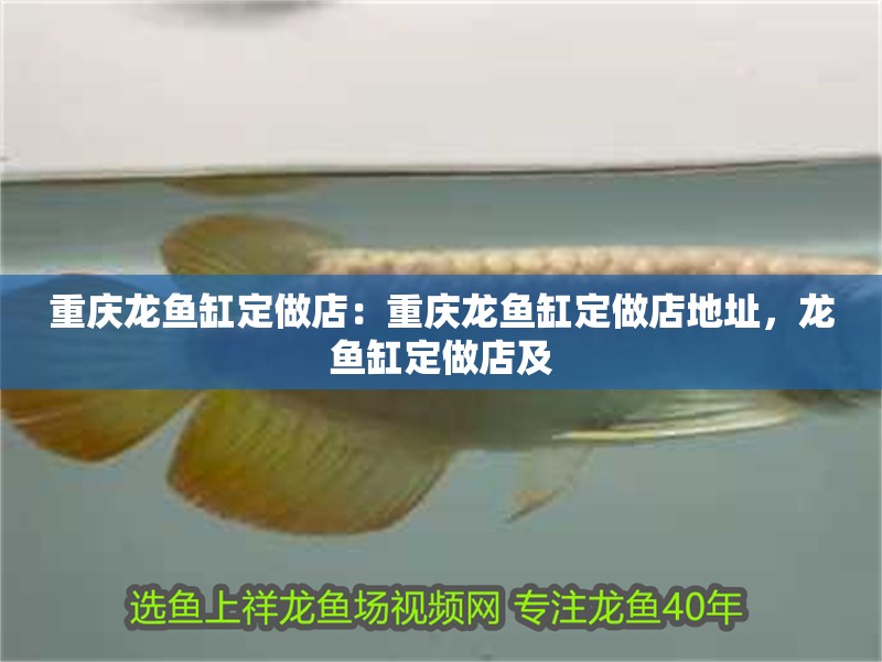 重慶龍魚缸定做店：重慶龍魚缸定做店地址，龍魚缸定做店及