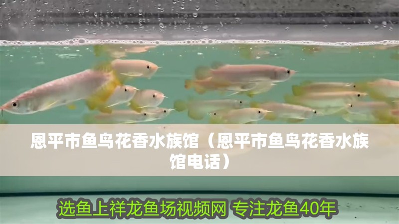 恩平市魚鳥花香水族館（恩平市魚鳥花香水族館電話） 恩平市魚鳥花香水族館（恩平市魚鳥花香水族館電話） 全國水族館企業名錄 第2張