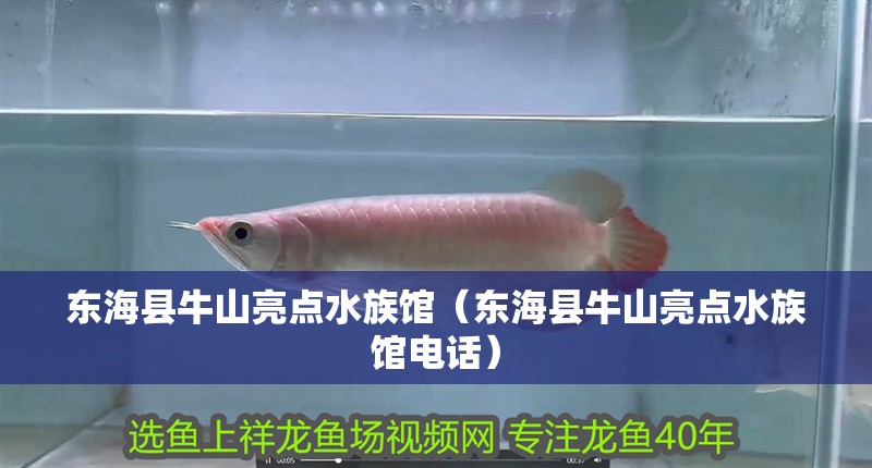 東?？h牛山亮點水族館（東?？h牛山亮點水族館電話）