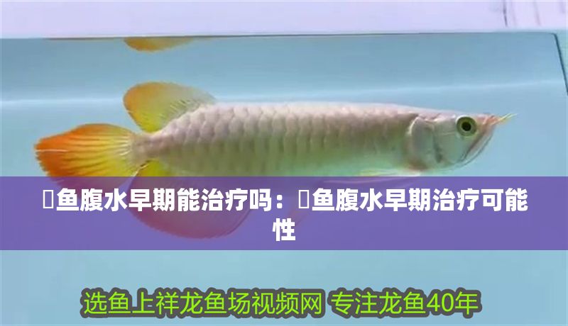 魟魚腹水早期能治療嗎：魟魚腹水早期治療可能性