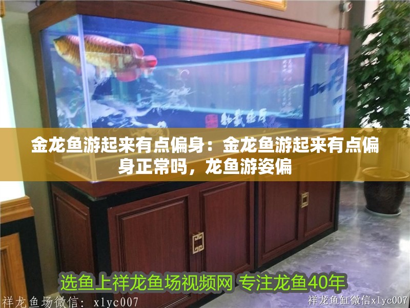 金龍魚游起來有點偏身：金龍魚游起來有點偏身正常嗎，龍魚游姿偏 金龍魚游起來有點偏身：金龍魚游起來有點偏身正常嗎，龍魚游姿偏 水族問答