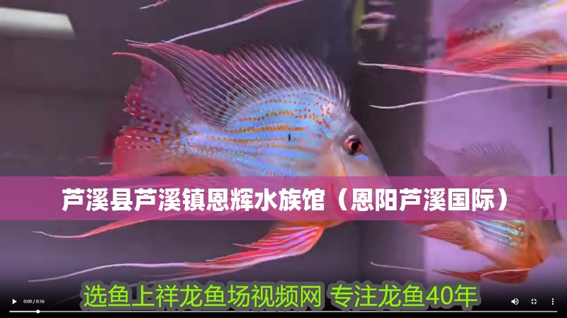 蘆溪縣蘆溪鎮恩輝水族館（恩陽蘆溪國際）