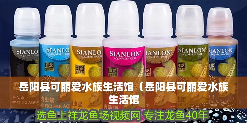 岳陽縣可麗愛水族生活館（岳陽縣可麗愛水族生活館