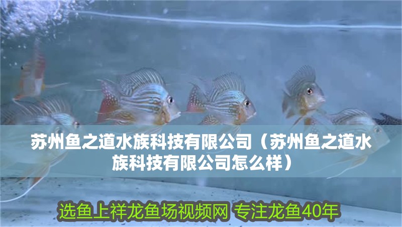 蘇州魚之道水族科技有限公司（蘇州魚之道水族科技有限公司怎么樣）