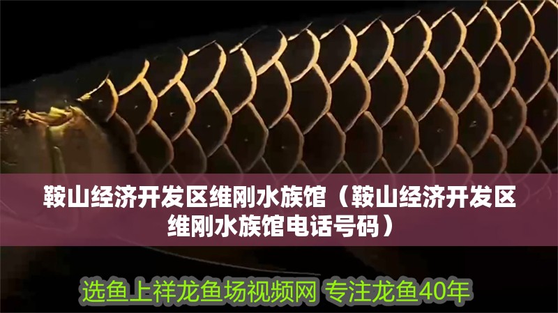 鞍山經濟開發區維剛水族館（鞍山經濟開發區維剛水族館電話號碼）