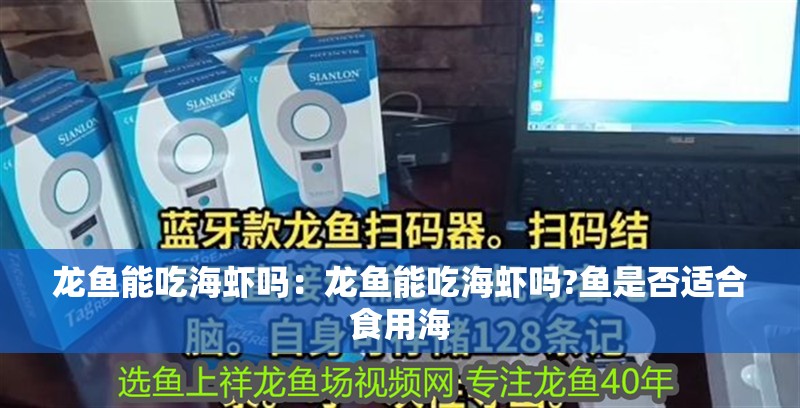 龍魚能吃海蝦嗎：龍魚能吃海蝦嗎?魚是否適合食用海