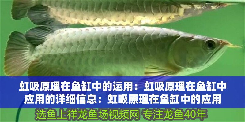 虹吸原理在魚(yú)缸中的運(yùn)用：虹吸原理在魚(yú)缸中應(yīng)用的詳細(xì)信息：虹吸原理在魚(yú)缸中的應(yīng)用