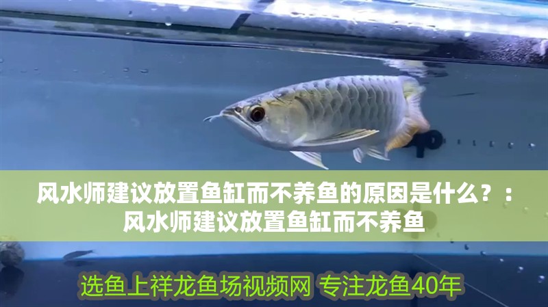 鸚鵡魚和銀龍魚混養怎樣喂食 風水師建議放置魚缸而不養魚的原因是什么?:風水師建議放置魚缸而不養魚 魚缸百科 風水師建議放置魚缸而不養魚的原因是什么?:風水師建議放置魚缸而不養魚 風水師建議放置魚缸而不養魚的原因是什么?:風水師建議放置魚缸而不養魚 魚缸百科