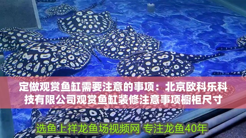 定做觀賞魚缸需要注意的事項：北京歐科樂科技有限公司觀賞魚缸裝修注意事項櫥柜尺寸