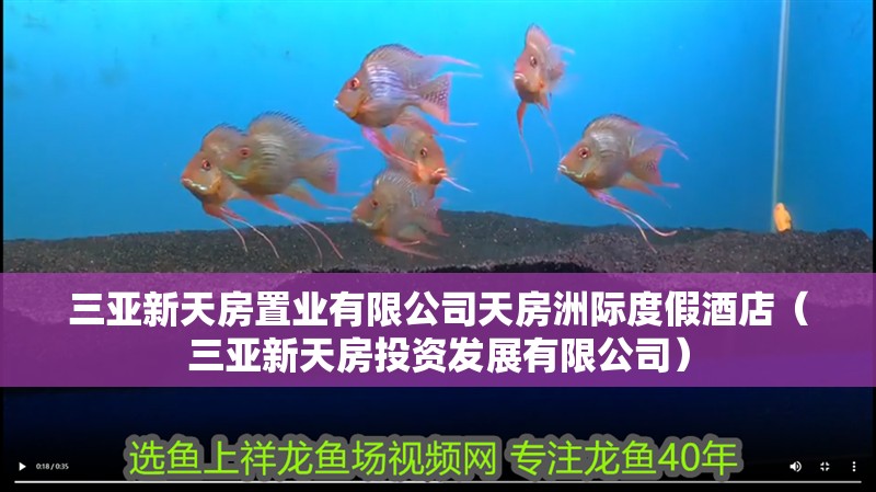 三亞新天房置業有限公司天房洲際度假酒店（三亞新天房投資發展有限公司）